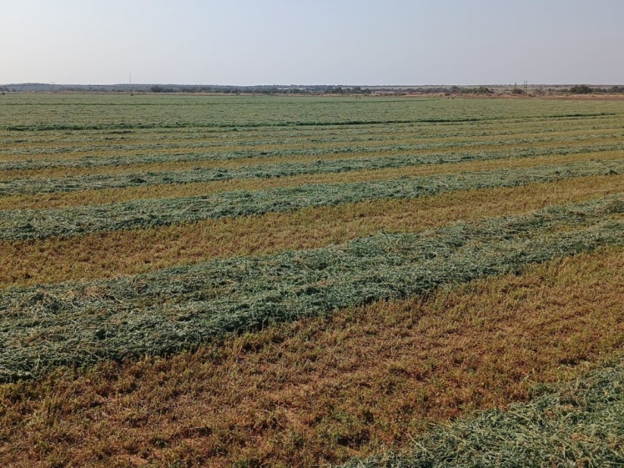 Commercial Property for Sale in Douglas Rural Northern Cape